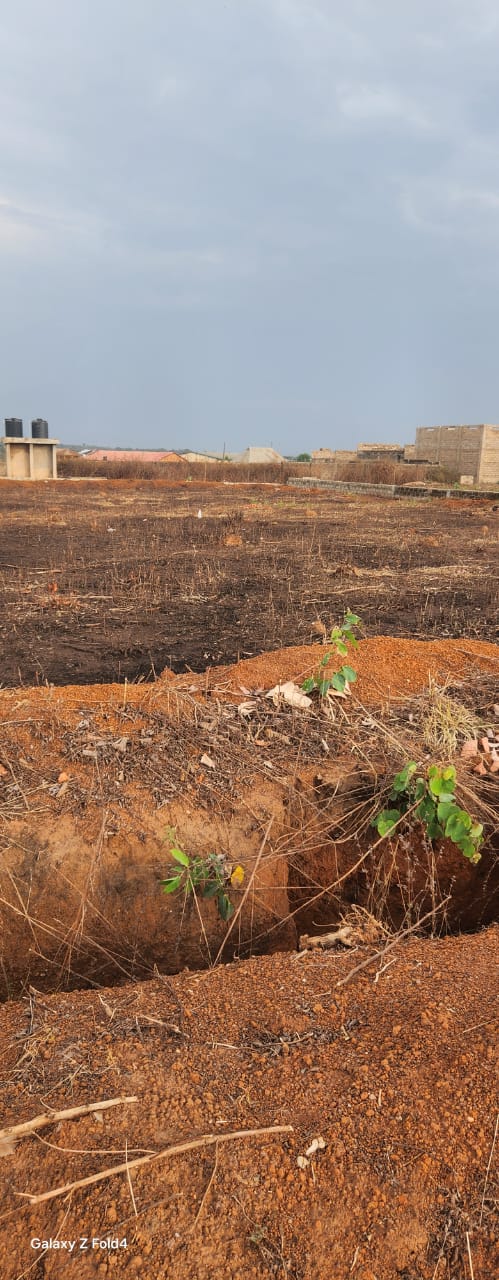 Al-Jaafariyah Gallery