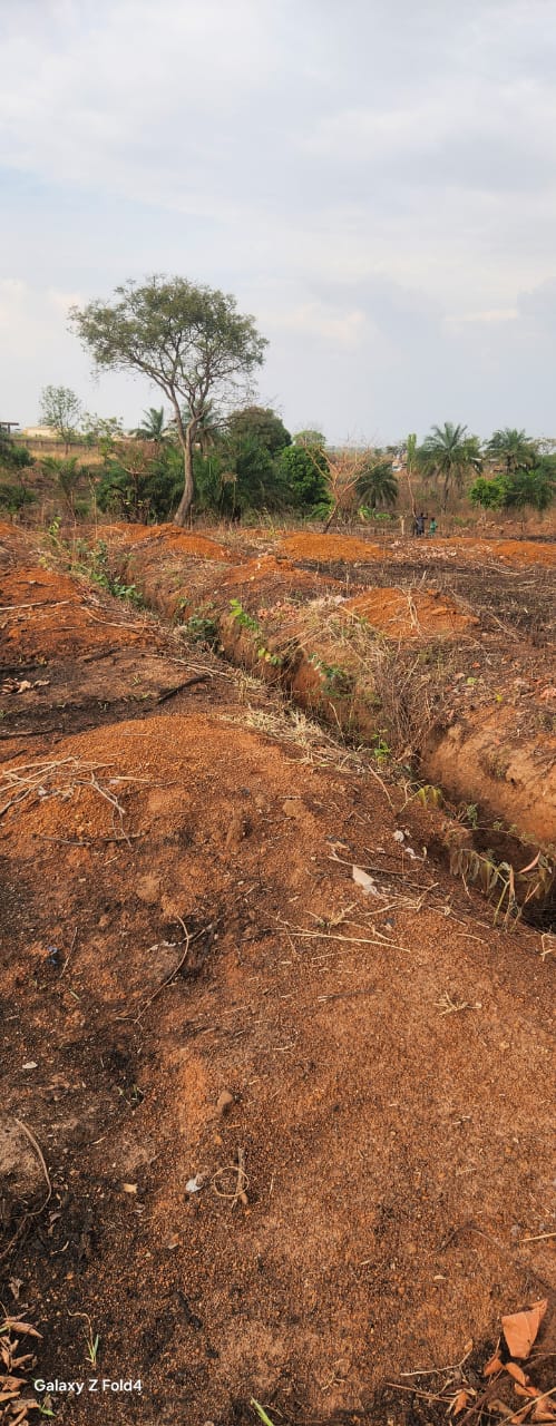 Al-Jaafariyah Gallery
